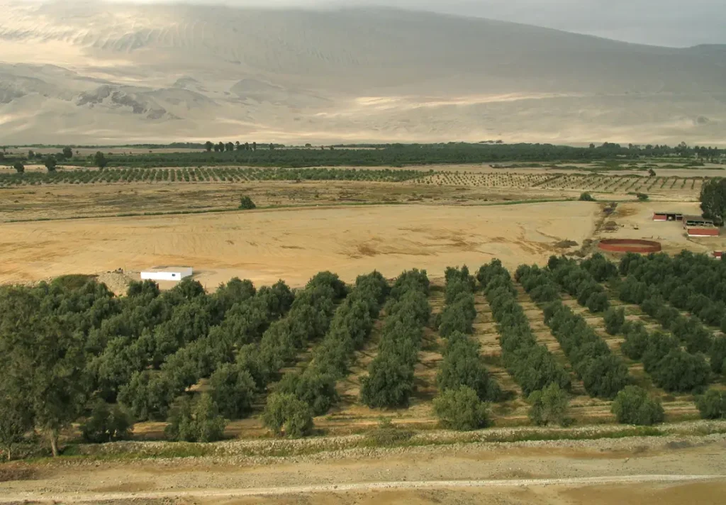 Inicio de la Temporada de Siembra: Expandiendo Nuestros Horizontes