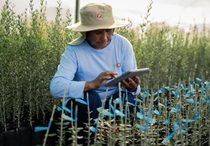 Explorando el Potencial y los Desafíos en la Agricultura Global.