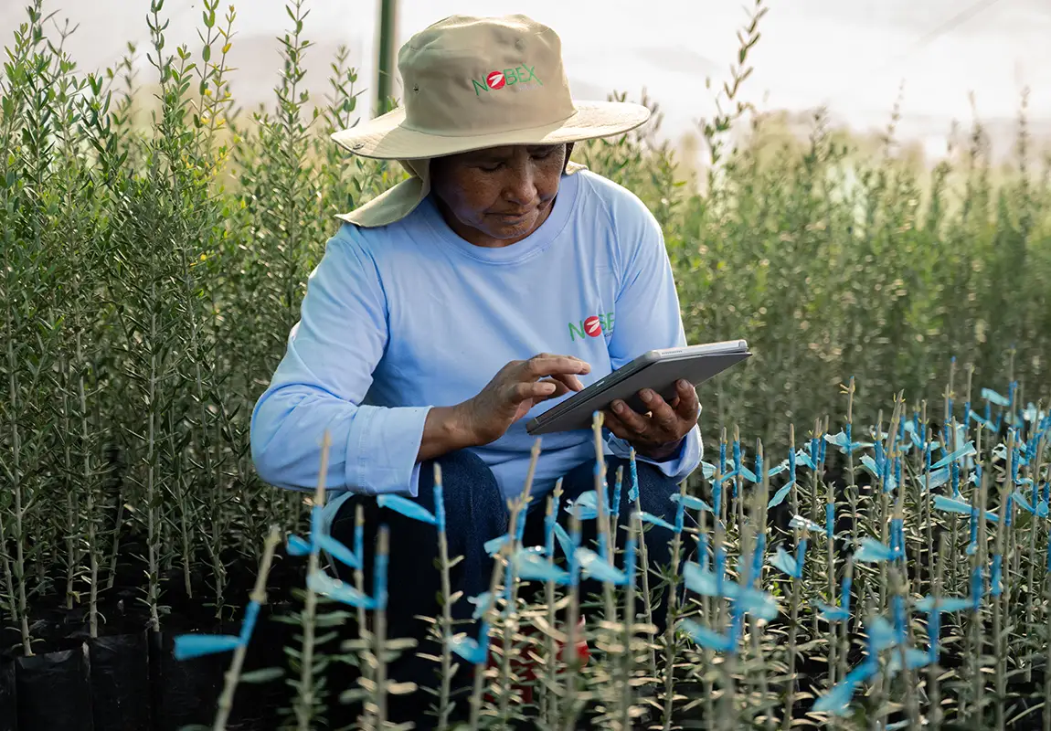 Explorando el Potencial y los Desafíos en la Agricultura Global.