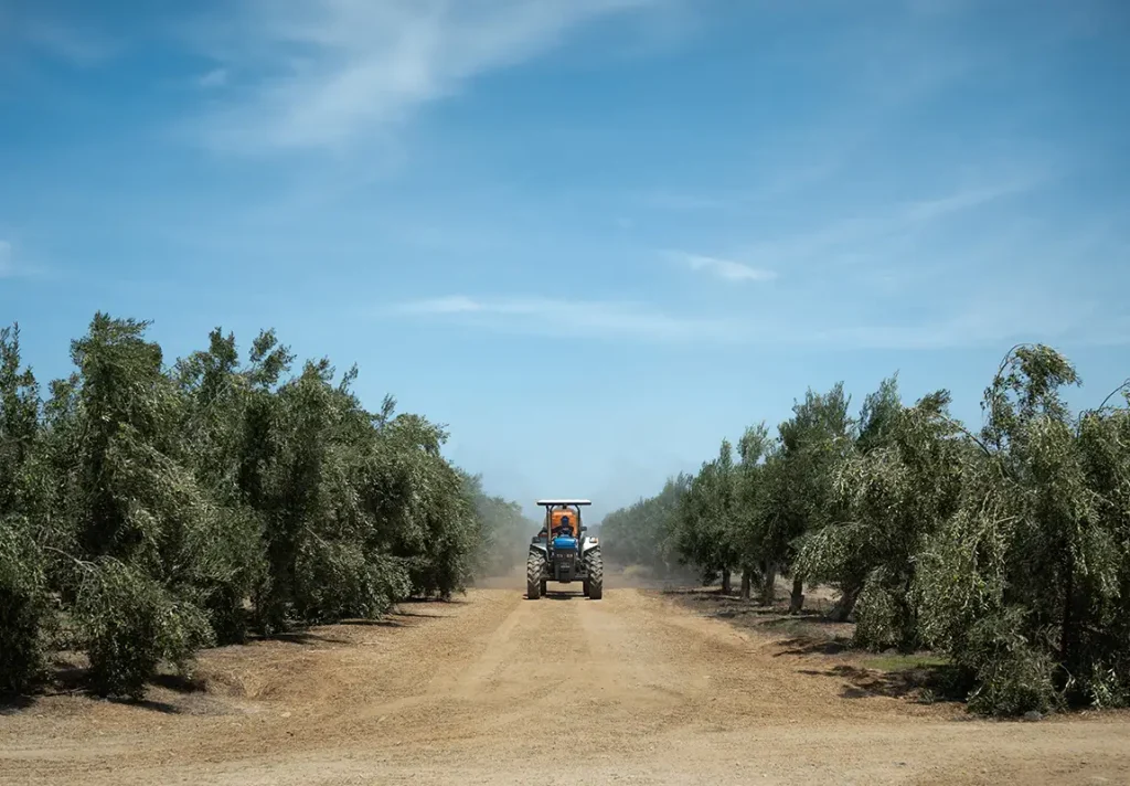 Compromiso con la Tierra: Prácticas Regenerativas en Nobex