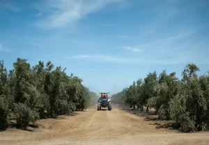 Compromiso con la Tierra: Prácticas Regenerativas en Nobex